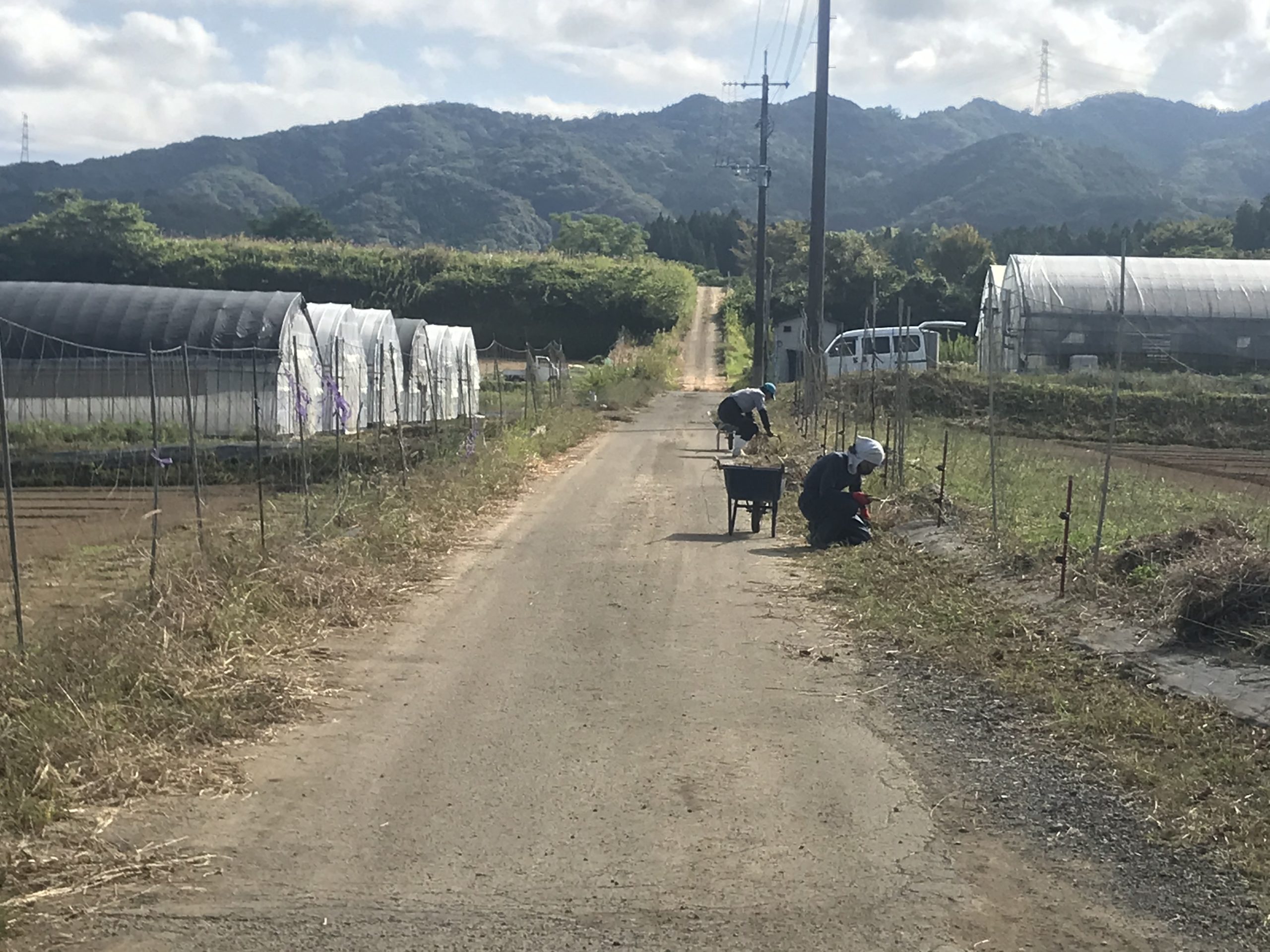 有機栽培は除草作業が大変なんです！