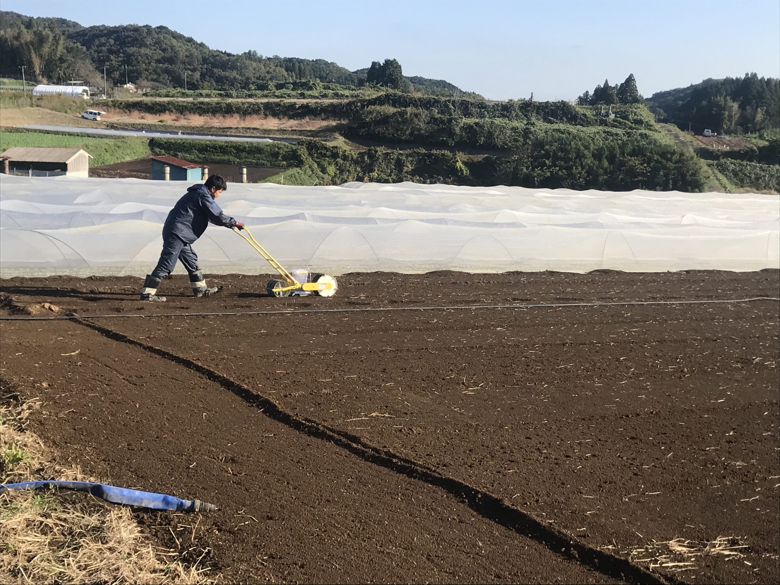 冬に向けて作付け有機栽培実施中