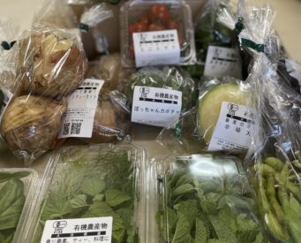 夏の有機野菜！全30種が続々できています！