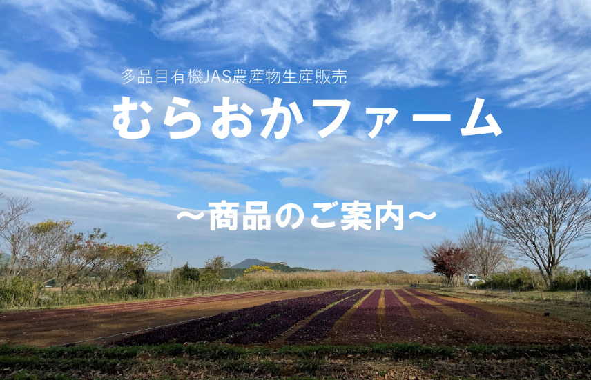 有機JAS農産物を多品目生産するむらおかファームの  今年の冬出荷できる有機農産物のラインナップ