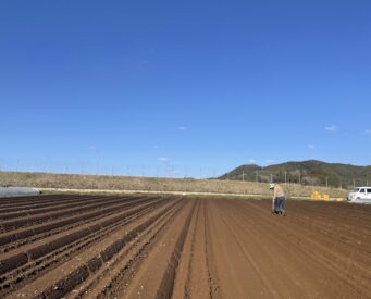 有機JAS認証野菜は食べチョクからご購入いただけます