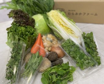 有機のお野菜セットのご紹介